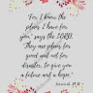 Meet your Posher, Debi